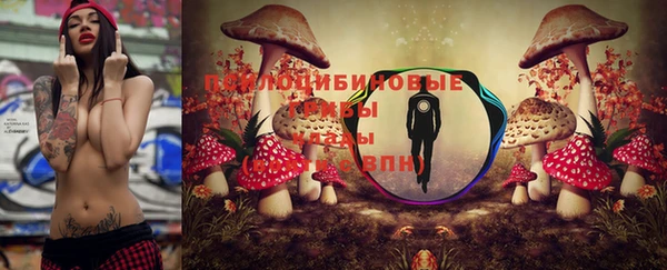 бошки Абаза