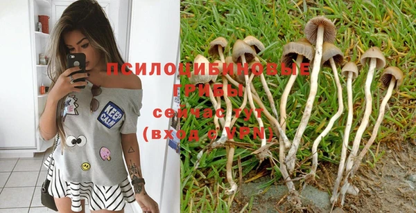 бошки Абаза
