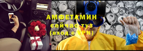 метадон Алексин
