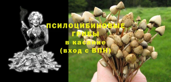 метадон Алексин